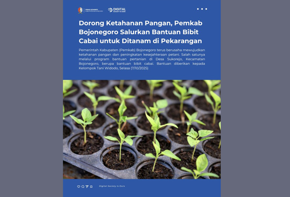 Pemkab Bojonegoro Salurkan Bantuan Bibit Cabai untuk Ditanam di Pekarangan