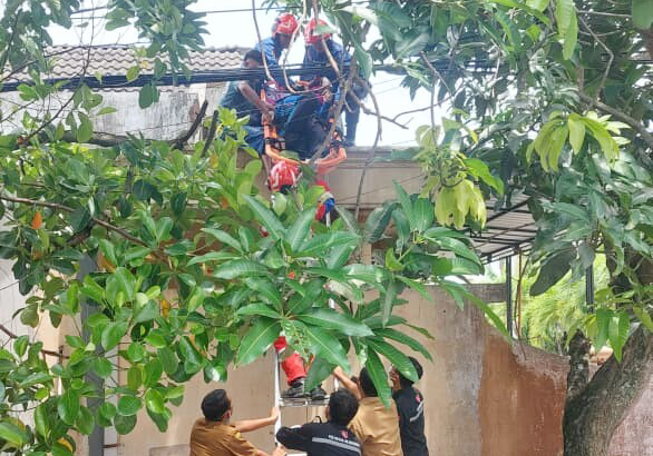 Dinas Damkarmat Bojonegoro Evakuasi Pria Lansia yang Pingsan di Atas Rumah