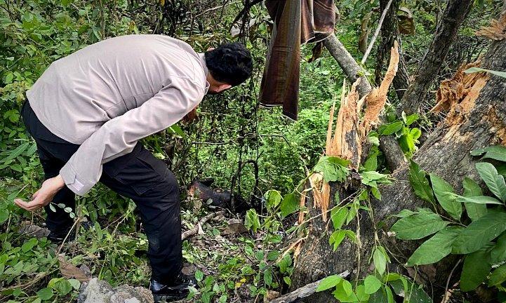 Terperosok ke Jurang dan Terbakar, Remaja Bojonegoro Meregang Nyawa
