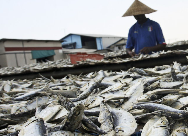 Mengkonsumsi Ikan Asin dan Pindang, Hukumnya?
