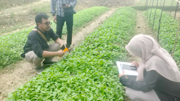 Pemkab Bojonegoro Salurkan Bantuan Benih Tembakau Unggul Bagi...