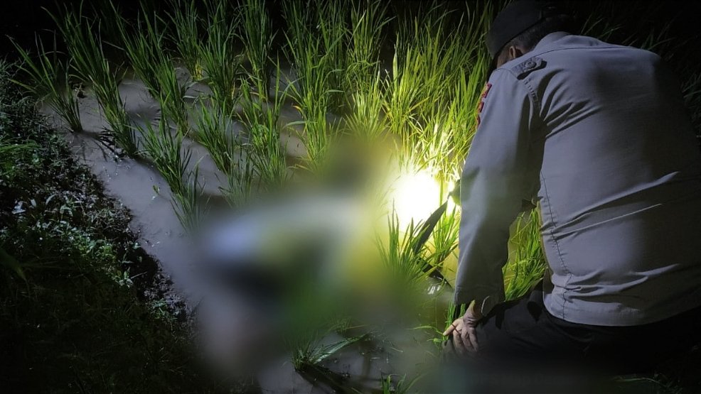 Petani di Bojonegoro Ditemukan Meninggal di Pematang Sawah