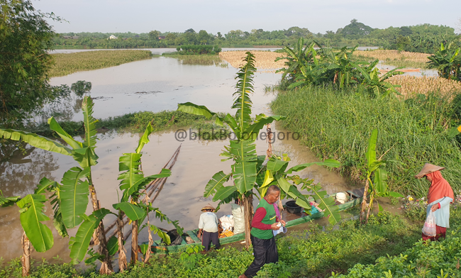 Lepas Siaga Merah dan Kuning, Gini Status Siaga Hijau