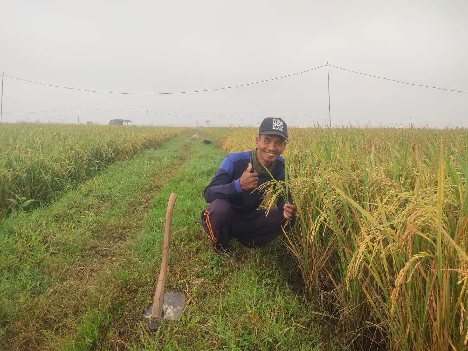Kusnanto, Petani Bojonegoro yang Konsisten Menjaga Keselamatan demi Keberlanjutan