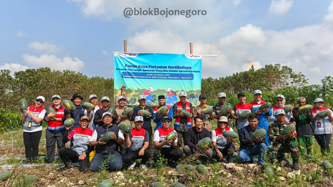 Panen Semangka di Tengah Hutan Warga Ngasem