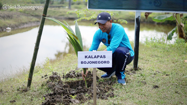 Lapas Bojonegoro Tanam Ratusan Bibit Kelapa: Bekal Ekonomi Warga Binaan