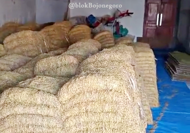 Luas Tanaman Tembakau Tahun 2025 Turun, Hanya 11.320 Ha