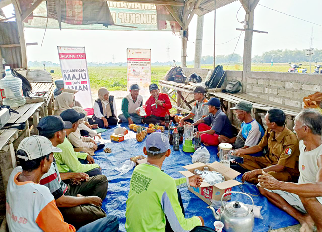 Cara Petani di Jalur Pipa Minyak Kembangkan Pertanian Berkelanjutan