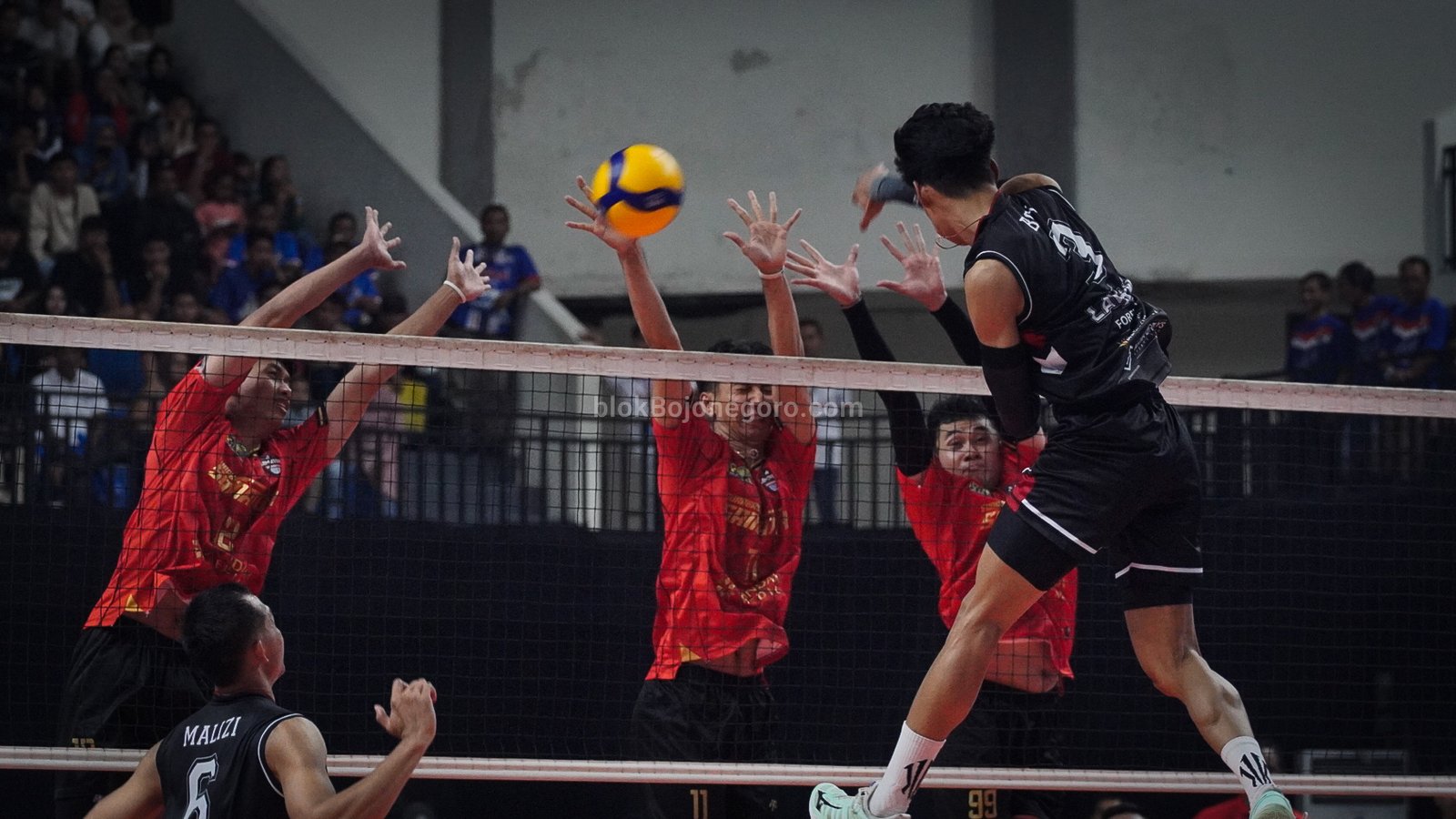 Potret LavAni Saat Melibas Surabaya Samator di Proliga...