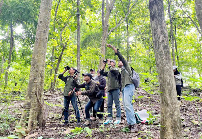 Ekspedisi Gabungan Cari Anggrek Larat Hijau di Hutan...