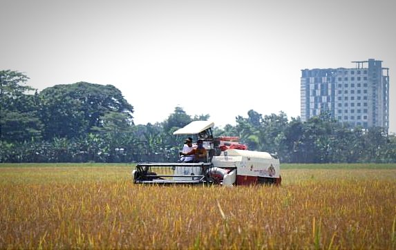 Tak Hanya Migas, Sektor Pertanian Turut Kuatkan Ekonomi...