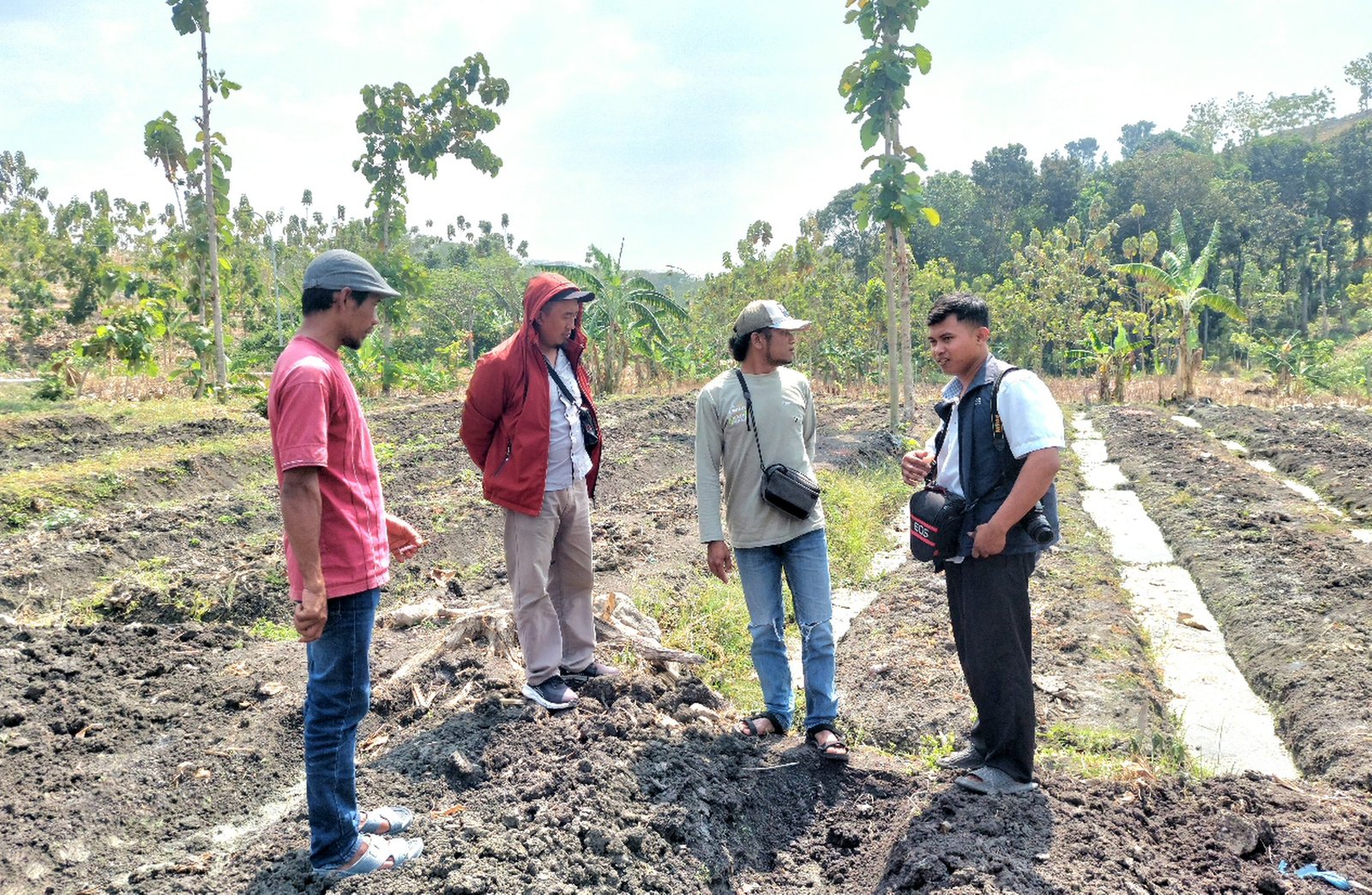 Tekan Modal Tanam, Petani Hutan Sekar Beralih ke...