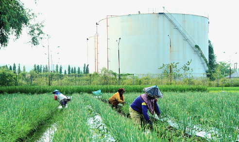 JATAM Ungkap Risiko Pengembangan CCUS Pertamina EP Sukowati...