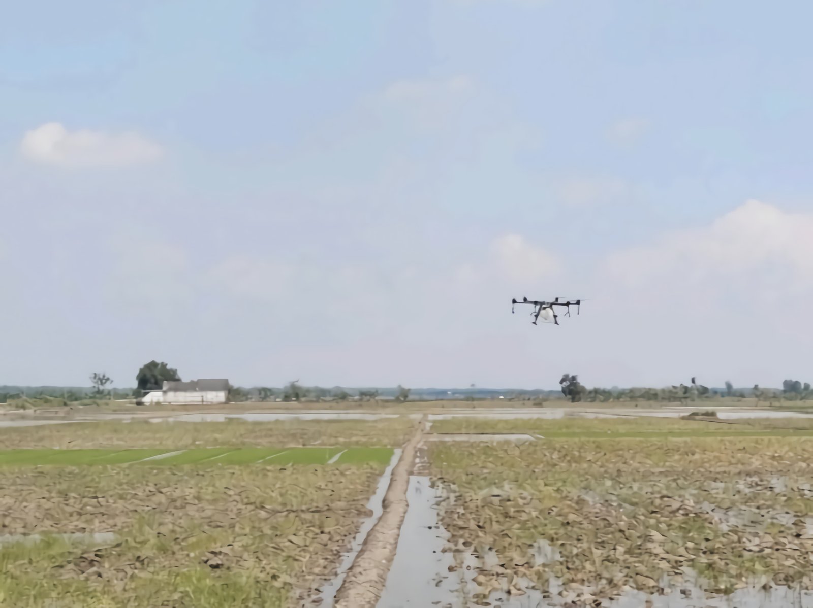 Bupati Wahono Hadirkan Drone Penyemprot Gratis untuk Bantu Petani Bojonegoro