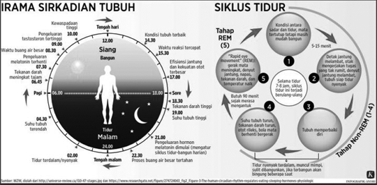 Tidur Lebih Banyak, Hidup Lebih Baik? Fakta yang Perlu Kamu Tahu