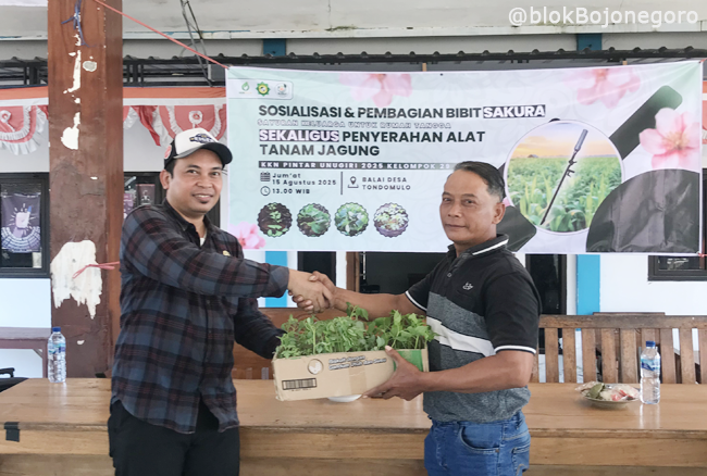 KKN UNUGIRI dan DKPP Bojonegoro Bagikan 750 Bibit Sayuran di Tondomulo