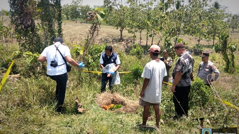 Buru Pelaku Pembuang Bayi di Malo, Polisi Sisir Rumah Sakit-Puskesmas di Bojonegoro