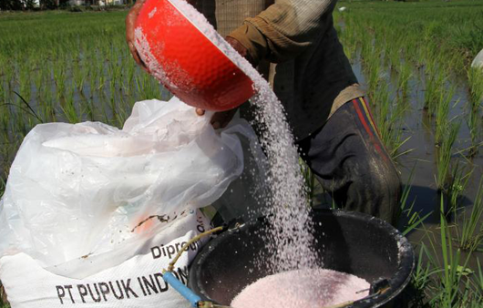 HET Pupuk Subsidi Turun, DKPP: Semoga Produksi Pertanian Naik