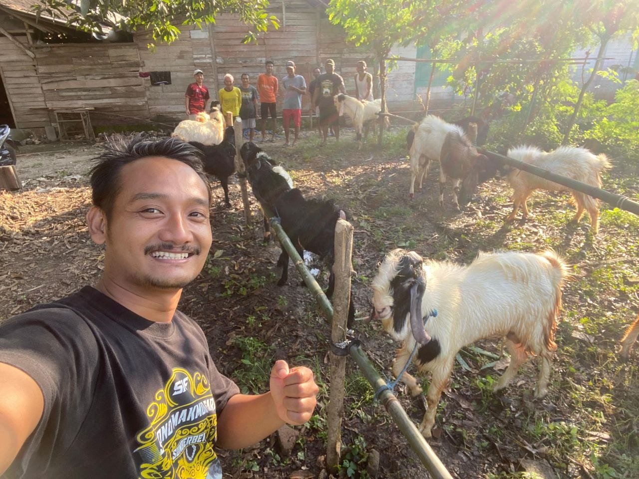 Jelang Iduladha, KTT Srono Makmur Jadi Motor Ekonomi Peternak Muda
