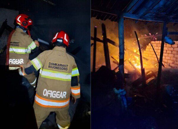 Kebakaran Rumah di Sumberwangi Kanor, Dinas Damkarmat Bojonegoro Gerak Cepat