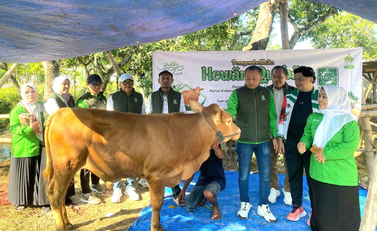 Perkuat Kepedulian Sosial, PKB Bojonegoro Kurban 8 Sapi dan 17 Kambing
