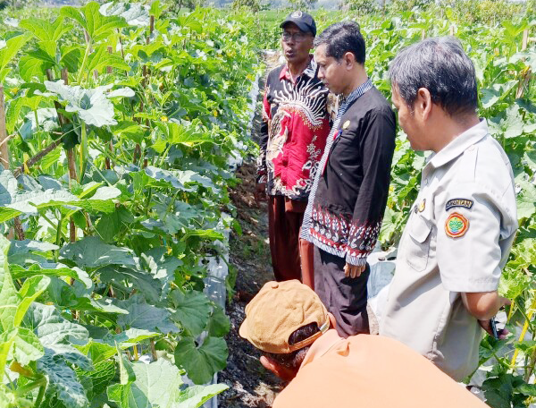 Melalui Integrated Farming System, Abdul Mukarrom Warga Balen Bojonegoro Hasilkan Pertanian Maksimal
